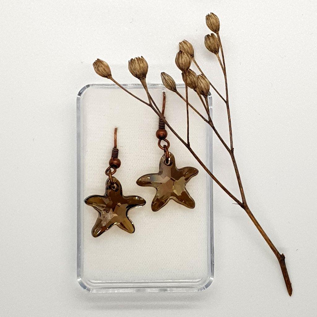 Náušnice hnědé hvězdice